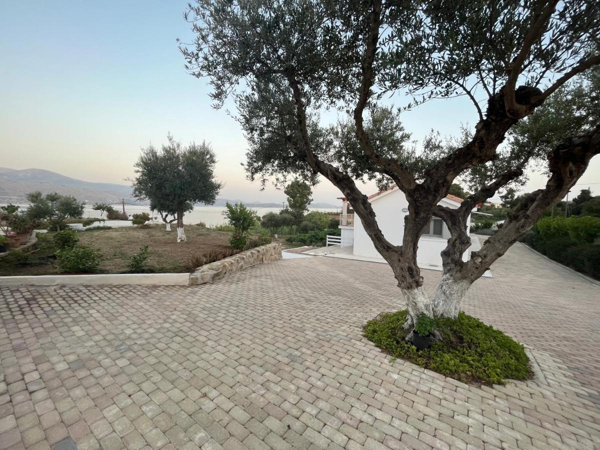 Apollonides Seafront Villa1 Aoede ลิคชูรี ภายนอก รูปภาพ