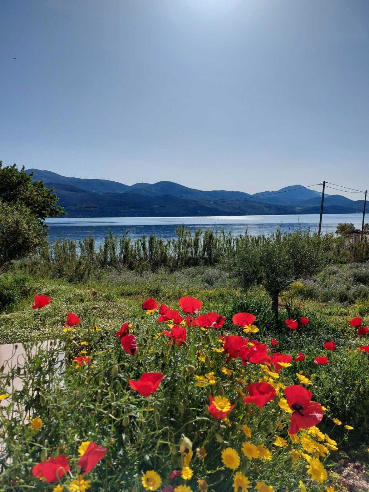 Apollonides Seafront Villa1 Aoede ลิคชูรี ภายนอก รูปภาพ