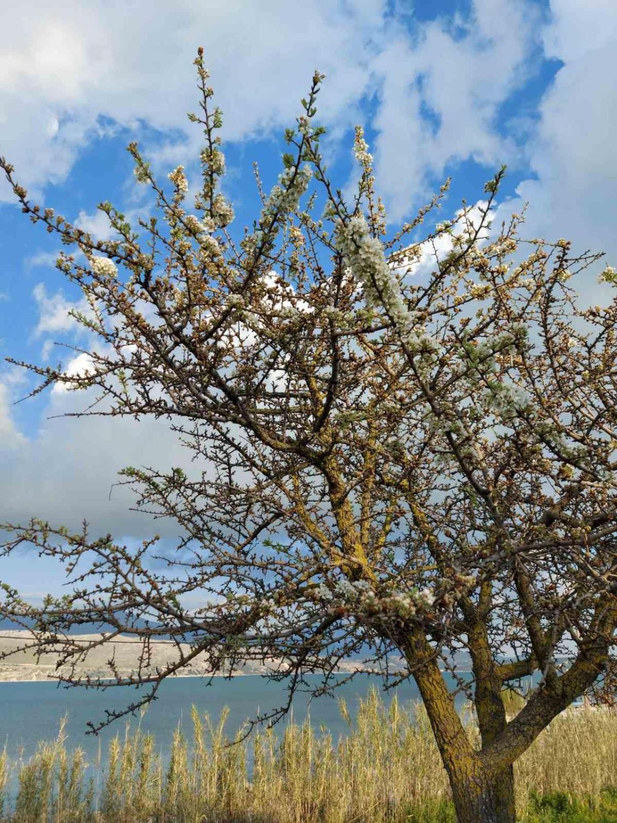 Apollonides Seafront Villa1 Aoede ลิคชูรี ภายนอก รูปภาพ